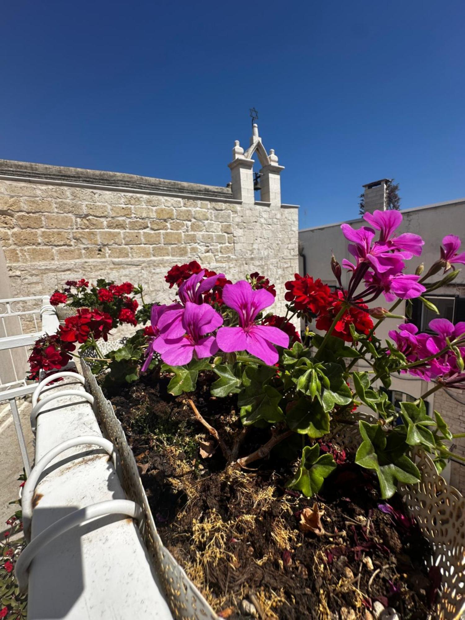 B&B Sigo Trani Bagian luar foto